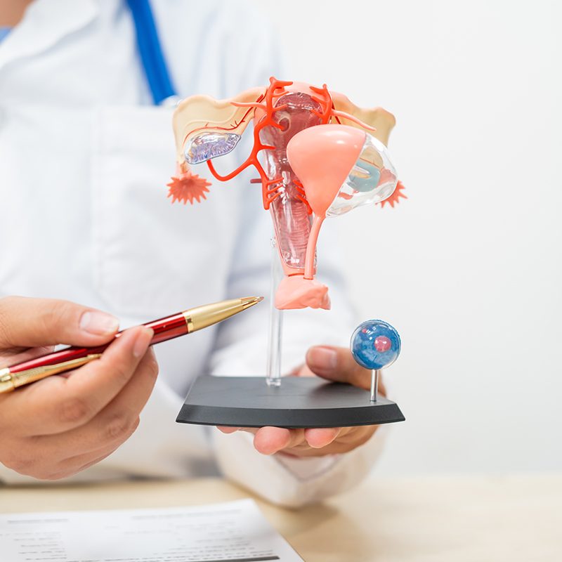 A female doctor sits at a desk in hospital explains about uterine conditions such as endometriosis